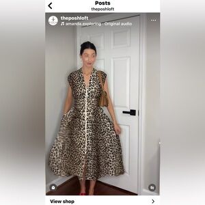 Style USA Animal Printed Midi Dress